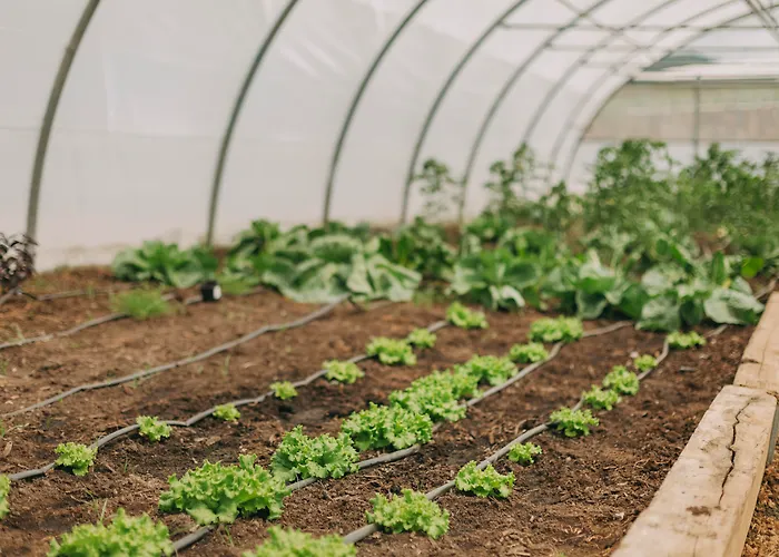 Hotel Santa Barbara Eco-beach