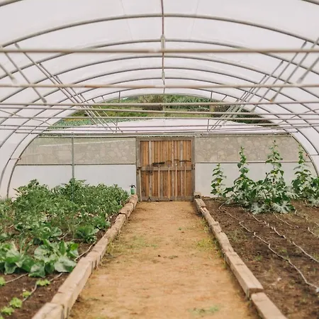 Santa Barbara Eco-beach Ribeira Grande