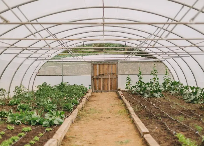 Santa Barbara Eco-beach Ribeira Grande